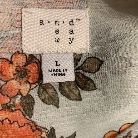 Given as GiftbSemi Sheer Shirt Tail Blouse - Picture 4 of 7